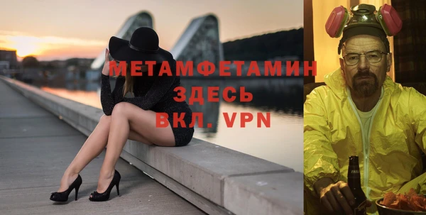шишки Покачи