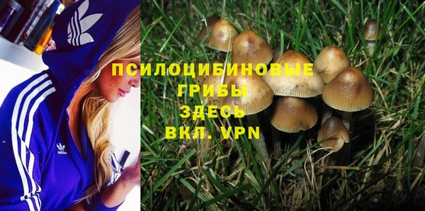 шишки Покачи