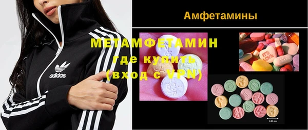 шишки Покачи