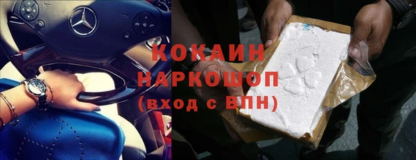 шишки Покачи