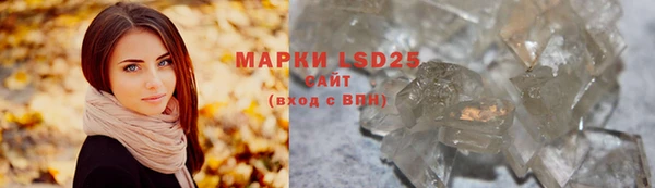 шишки Покачи