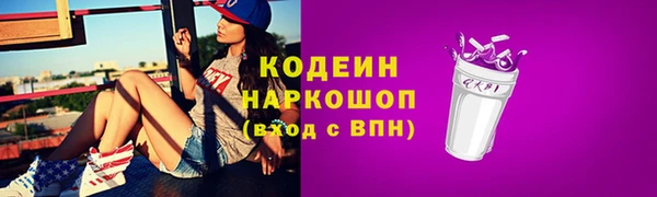 шишки Покачи