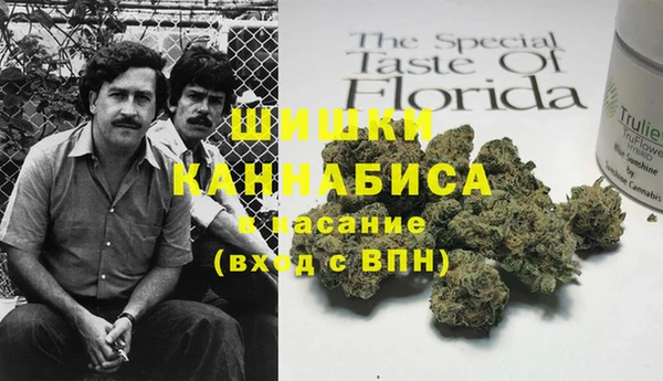 шишки Покачи