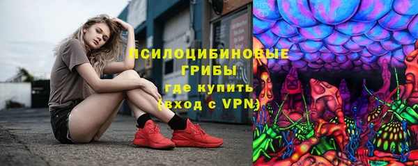 крисы Теберда
