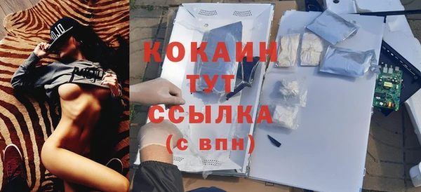 шишки Покачи