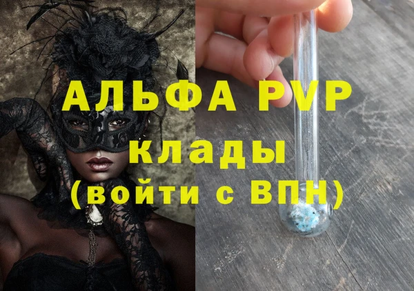шишки Покачи