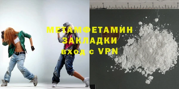 шишки Покачи