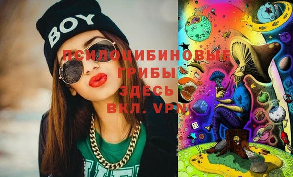 шишки Покачи